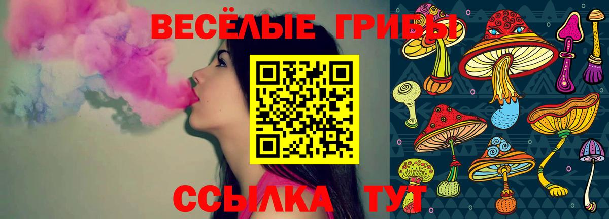 Псилоцибиновые грибы мухоморы  Вход с VPN  Шахты 