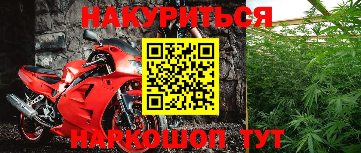 Бошки Шишки план Шахты